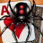 Image of a black spider perched on playing cards