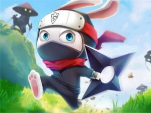 Ninja Rabbit game online