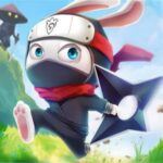 Ninja Rabbit game online